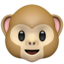 monkey_face