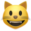 smiley_cat