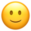 slightly_smiling_face