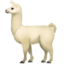 llama