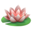 lotus