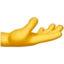 palm_up_hand