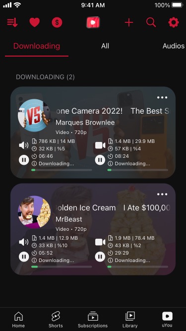 Screenshot 5 of uYouPlus