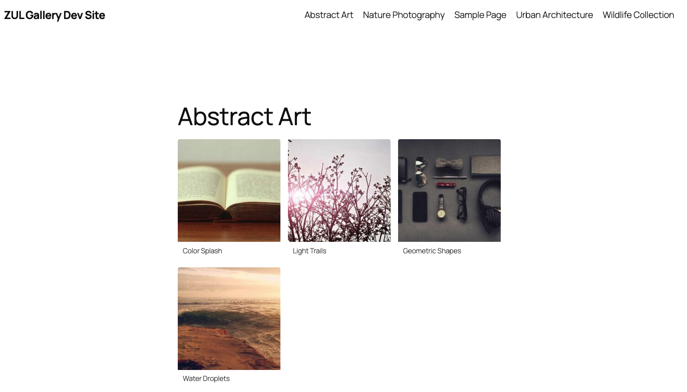 Frontend Gallery