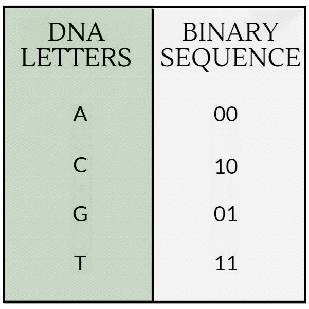 img/genome_coding.jpg