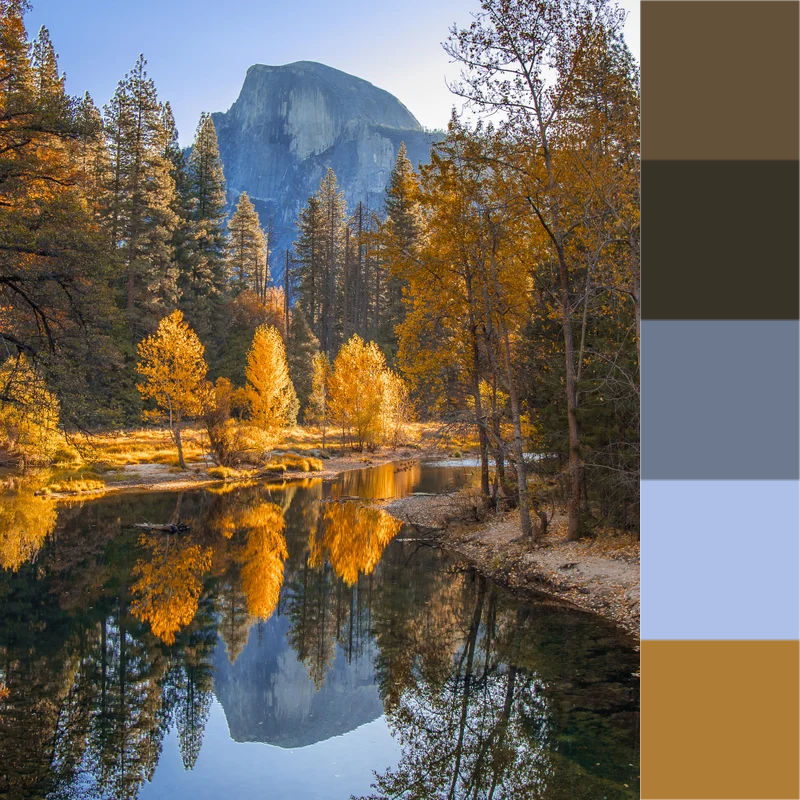 Example image & extracted dominant colors