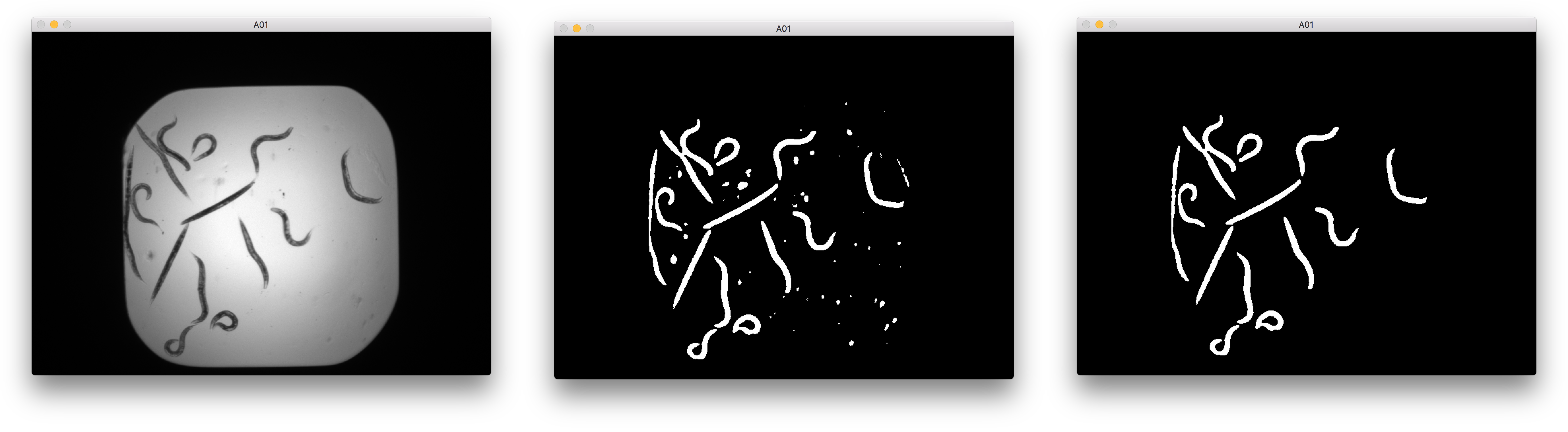 Images from left to right: Normalised, Through thresholding, and Sanitised