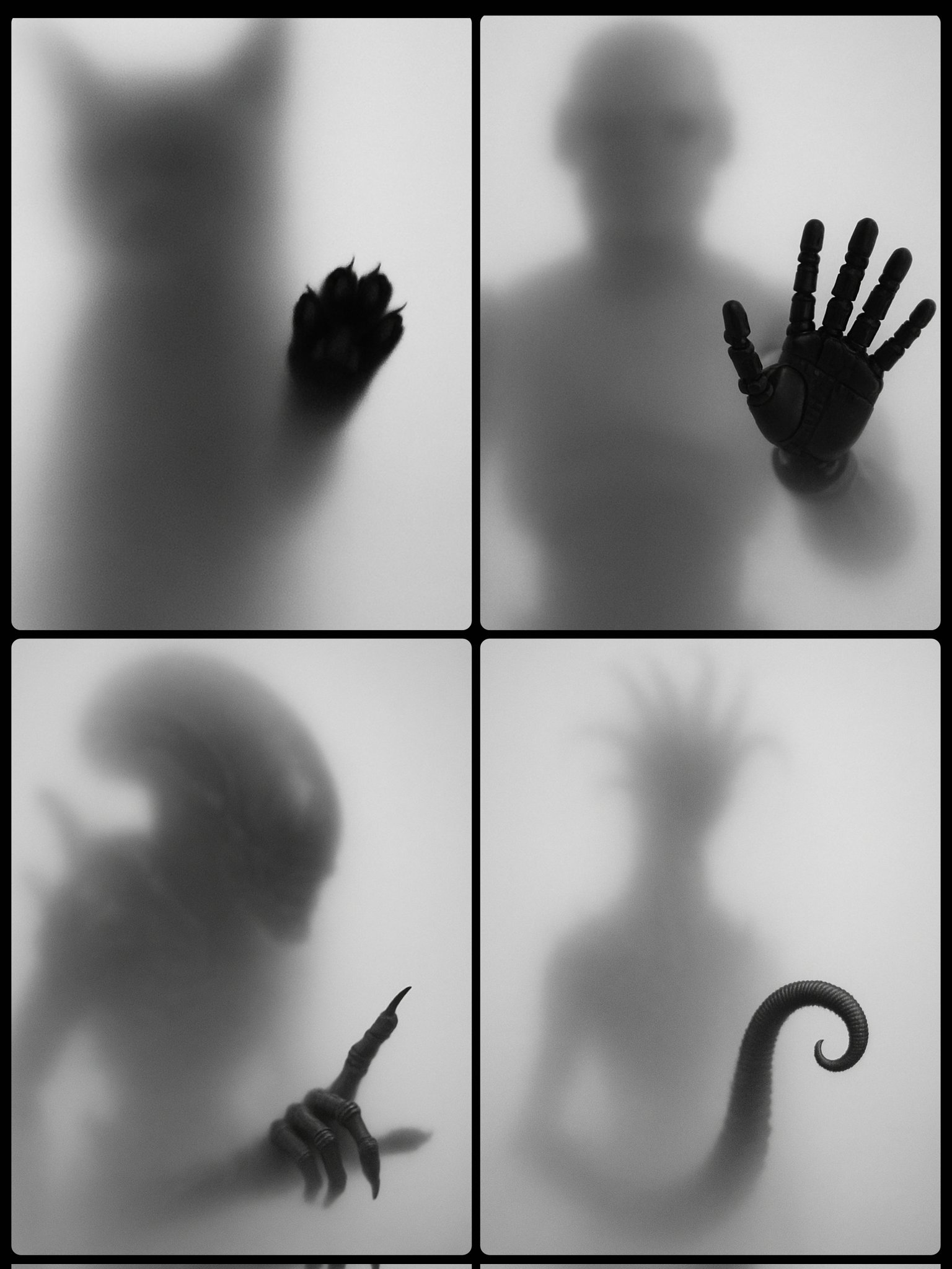 Capture Artistic Portrait Photography