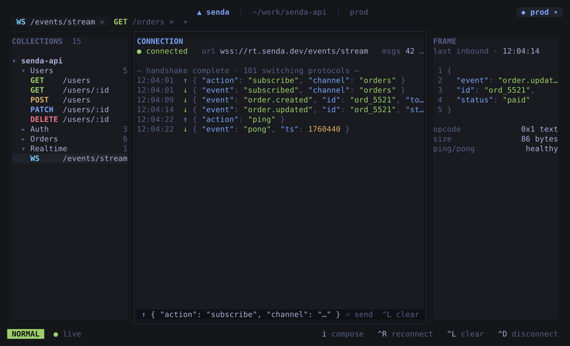 WebSocket view β live connection log and frame inspector