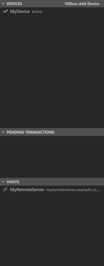 VSDuo activity bar with devices, transactions, and hosts