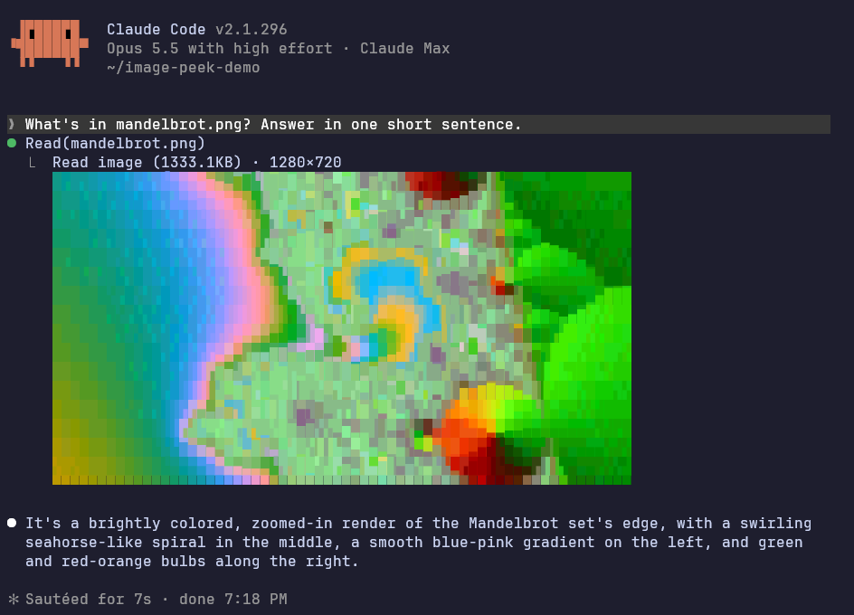 Claude Code reading mandelbrot.png: the picture is drawn in coloured block characters under the Read call, followed by Claude's one-sentence description