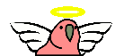 angelparrot.gif