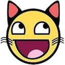 awesomecat.png