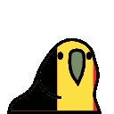 belgiumparrot.gif