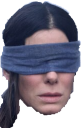 birdbox.png