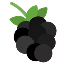 blackberry_fruit.png