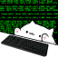 bongocat_code.gif