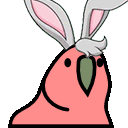 bunnyparrot.gif