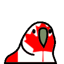 canadaparrot.gif