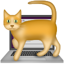 cat-on-the-laptop.png