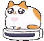 cat-roomba.gif