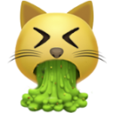 cat_vomiting.png