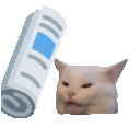 catbonk.gif