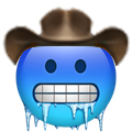 cold-face-cowboy.png