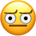 concerned_disapproval.png