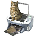 copycat.png