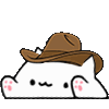 cowboybongocat.gif