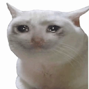 crycat.png