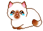 crying-cat.gif