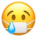 crying-with-mask.png