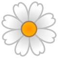 daisy.png