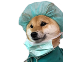 dogtor.png