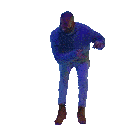 drake.gif