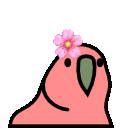 flower_parrot.gif