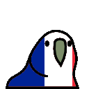 franceparrot.gif