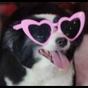 gus-heart-glasses.jpeg