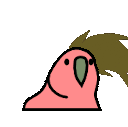 headbangingparrot.gif