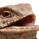 hhhehehe.gif