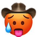 hot-face-cowboy.png