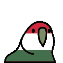 hungaryparrot.gif