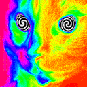 hypnocat.gif