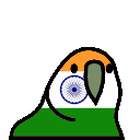 indiaparrot.gif