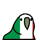 italyparrot.gif