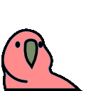 levitationparrot.gif