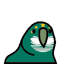 macauparrot.gif