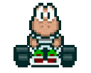 mariokart-koopa.gif